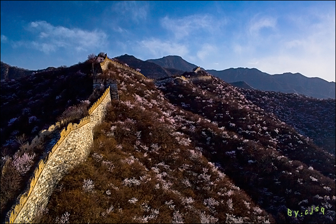 美不胜收的绚烂:箭扣春花 野长城脚下的绽放盛景(高清组图)