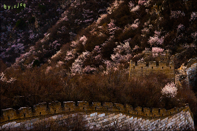 美不胜收的绚烂:箭扣春花 野长城脚下的绽放盛景(高清组图)