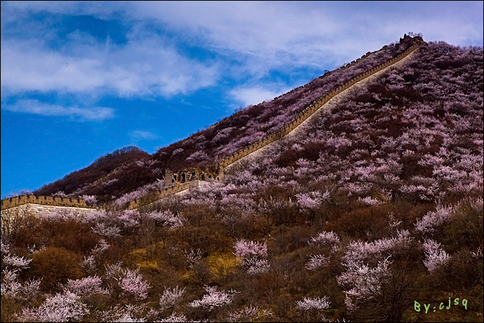 美不胜收的绚烂:箭扣春花 野长城脚下的绽放盛景(高清组图)
