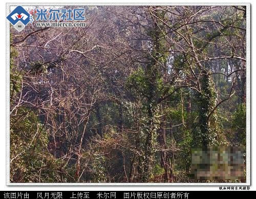 �������ֱ�֮�����ش���Ļ����Сƽʮ����ٲ������(��ͼ)