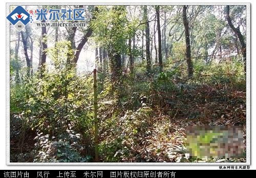 �������ֱ�֮�����ش���Ļ����Сƽʮ����ٲ������(��ͼ)